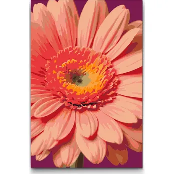 Malování podle čísel - Květ gerbery Velikost: 20x30cm, Rámování: Pouze srolované plátno