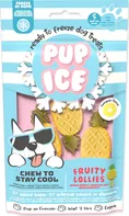 Pup Ice Chladicí pochoutka zmrzlina pro psy ananas 3 ks 90 g