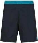 Dynafit Alpine Shorts Man…