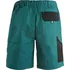 pracovní kraťasy CXS Luxy Tomáš kraťasy zelené/černé