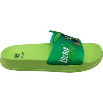Chlapecká obuv Dětské pantofle LOONEY TUNES ZAKKI 26 Zelená