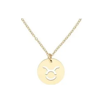 Řetízek Řetízek znamení BÝK, chirurgická ocel G513