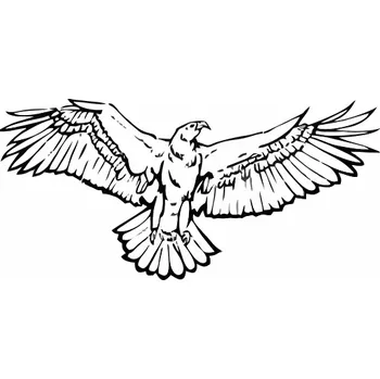 Traiva s.r.o. Silueta orla s roztaženými křídly, proti narážení ptáků do oken - černobílá Verze: Samolepka inverzní 210 x 297 mm (A4) tl. 0.1 mm - Kód: 03017