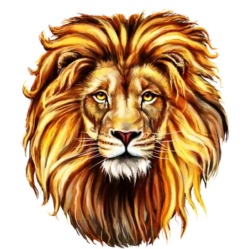 Nášivka Nažehlovačka dětská hlava lva (digitální nažehlovačka s dětským obrázkem)