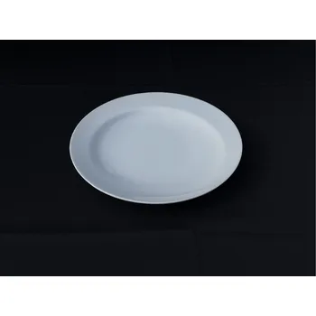 Talíř 24 ks Talíř bílý kulatý 27 cm + transportní box