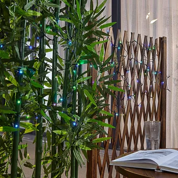 Lampička Prios Smart LED světelný řetěz Liezel, 300 cm, RGB, Tuya tmavě zelená, černá, průhledná LED 3,1 W celkem