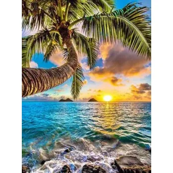 Diamantové malování Diamantové malování/Huacan - Palma a západ slunce