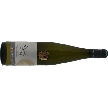 Víno BMVinařství Ryzlink vlašský 2017 pozdní sběr 0,75 l suché bílé víno Salon