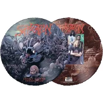 Zahraniční hudba LP Suffocation: Effigy Of The Forgotten LTD | PIC 2024 Picture Disc Limited Edition Vinyl
