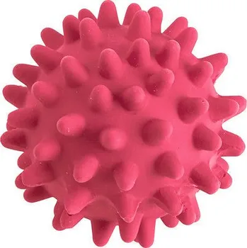 Hračka pro psa HUNTER Psí hračka Míček s bodlinkami Hunter