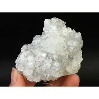 Sběratelství Zeolit apofylit drúza Indie (145g)