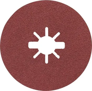 Brusný kotouč Bosch Accessories 2608619173 vláknitý kotouč Průměr 125 mm Ø otvoru 22.23 mm 1 ks