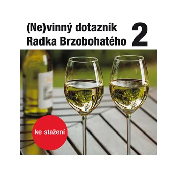 (Ne)vinný dotazník Radka Brzobohatého 2. MP3 download
