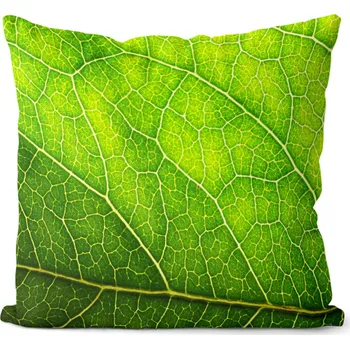 Dekorativní polštářek Polštář List 40x40 cm (Velikost: 40 x 40 cm)