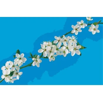 Malování podle čísel - Kvetoucí strom Velikost: 40x60cm, Rámování: Pouze srolované plátno