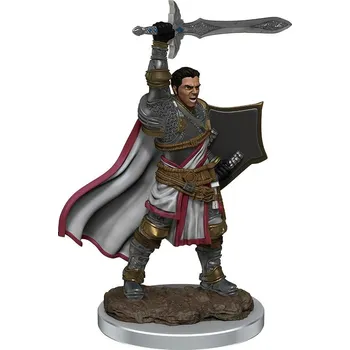 Desková hra WizKids D&D Icons of the Realms Premium Figures: Male Human Paladin