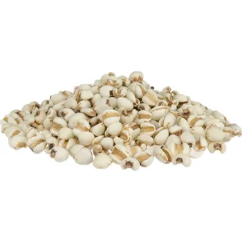 Profikoření - Slzovka obecná (200g)