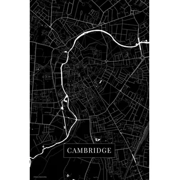 Plakát Plakát, Obraz - Cambridge black