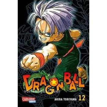 Komiks pro dospělé Dragon Ball Massiv 12 - Toriyama, Akira