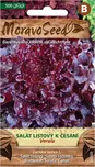 MoravoSeed Verala salát listový červený…
