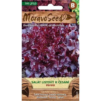 Semeno MoravoSeed Verala salát listový červený 500 ks