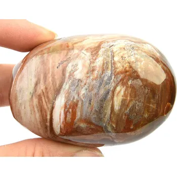 Přírodní kámen Leštěné zkamenělé dřevo 174g