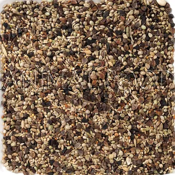 Pro ptáka Krmivo pro ptáky Parakeet Agapornis 4kg