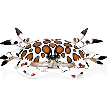 Polštář Gaby Polštář Krab kaliko 60 cm