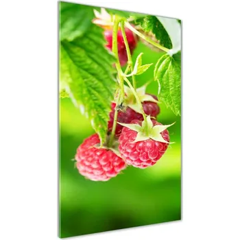 Obraz Vertikální Foto obraz skleněný svislý Malina na keříku
