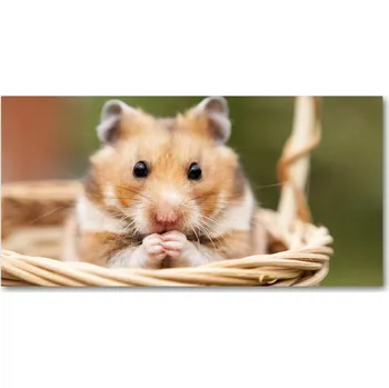 Obraz Foto-obraz na skle horizontální Křeček v košíku