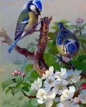 Figured'Art Ptáci na nětvi 40 x 50 cm
