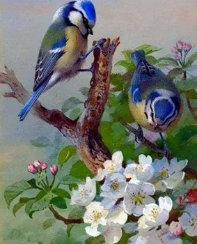 Diamantové malování Figured'Art Ptáci na nětvi 40 x 50 cm