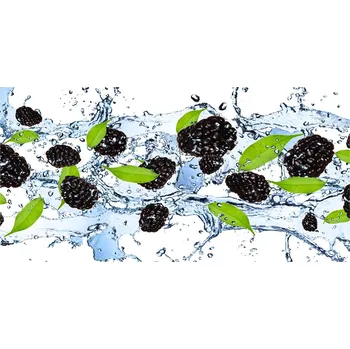 Obraz Foto obraz skleněný horizontální Ostružina a voda