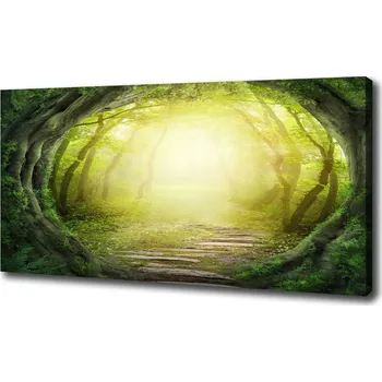 Obraz Foto obraz na plátně Tunel ze stromů