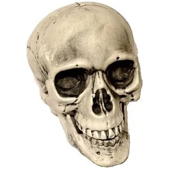 Žertovný předmět imago Lebka