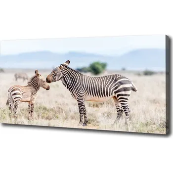 Obraz Foto obraz na plátně do obýváku Zebry v horách