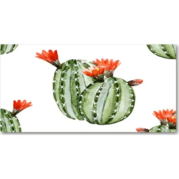 Obraz Fotoobraz na skle Kaktusy