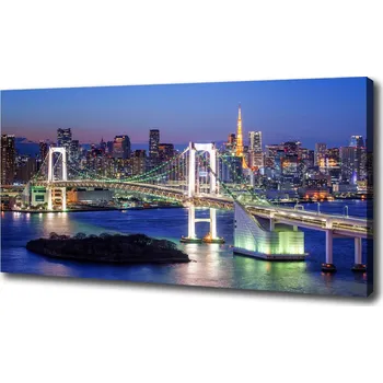 Obraz Foto obraz na plátně do obýváku Most v Tokio