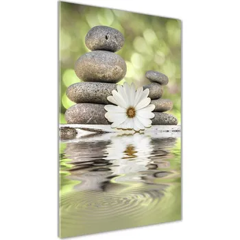 Obraz Vertikální Foto obraz skleněný svislý Kamení a květ