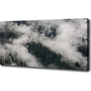 Obraz Foto obraz na plátně do obýváku Mlha nad lesem