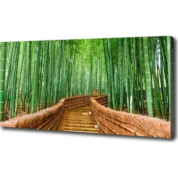 Obraz Moderní fotoobraz canvas na rámu Bambusový les