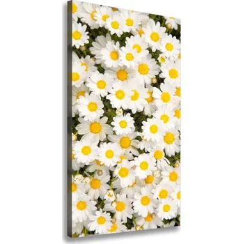 Obraz Vertikální Foto obraz na plátně Květy semikrásky