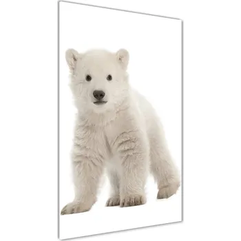 Obraz Moderní akrylový fotoobraz vertikální Polární medvěd