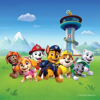 Polštář Dekorační polštář TLAPKOVÁ PATROLA 40 X 40 CM CN 3141