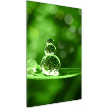 Obraz Vertikální Foto obraz skleněný svislý Kapky na trávě