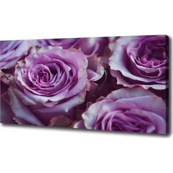 Obraz Foto obraz na plátně Fialové růže