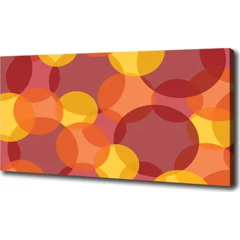Obraz Foto obraz canvas Barevná kolečka