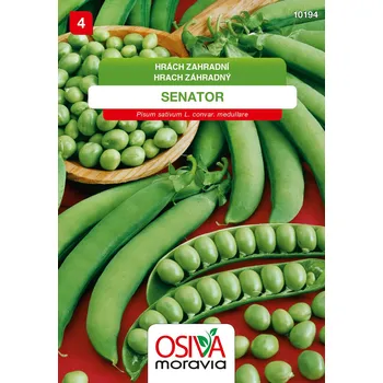 Semeno Hrách zahradní - Senator