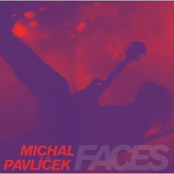 Česká hudba Faces - Michal Pavlíček