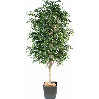 umělá květina VertEspace Bříza 400 cm